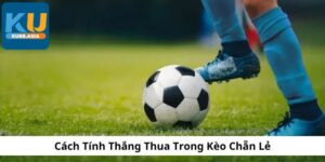 Dựa vào kèo chấp để tham gia kèo chẵn lẻ 